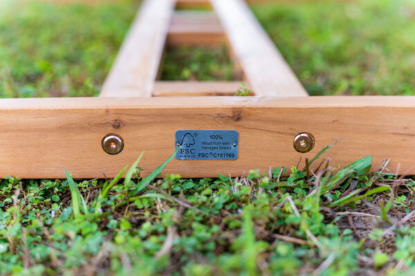 21922  13 5727884d88ef0ad3777b9fdff6217b29048cd229