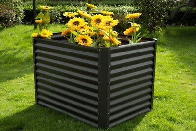 14249  1 9aebf5508dac3ede3f398637a38df614f8f5a515