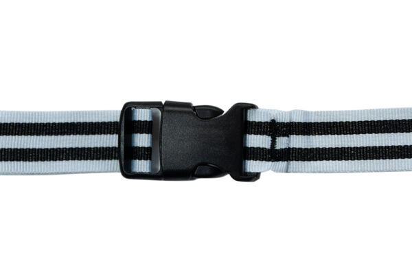 22619  4 dd526266c44237c0f5a18758bddd71ea2efa3dfb