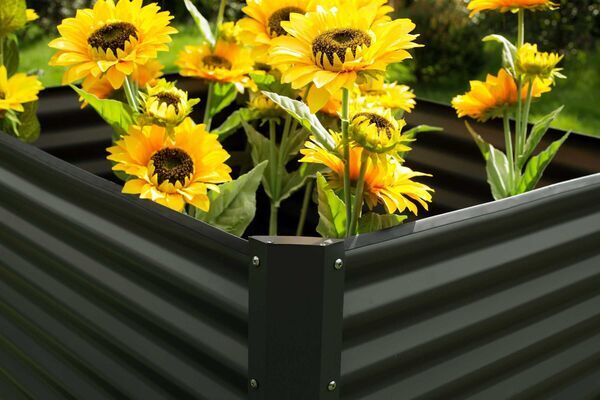 14249  4 4d95ff337b09d77a6797e33532050751fc23a233