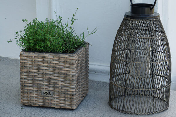 33754  1 9d6835cc668f6f13891fafdf0b962cad0d82e9bb