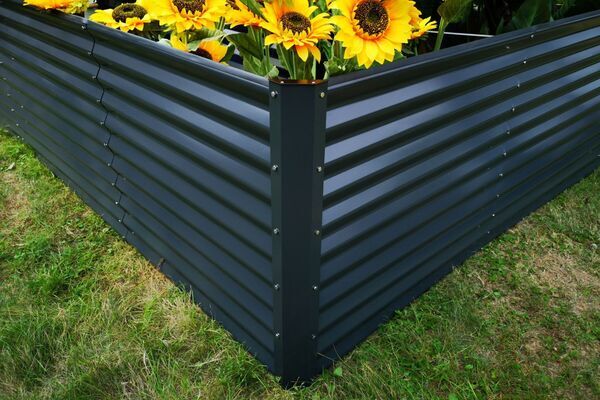 18174  8 79840c19cafe5f5185884f0f568a66cbb7690625