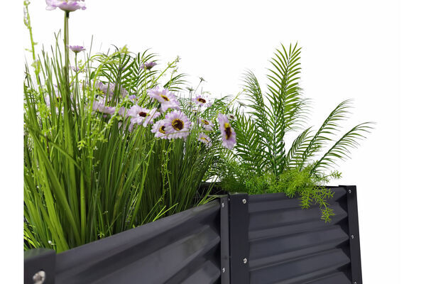 30887  14 920ac61e057a59058fa24fe6403dc664aefeddf5