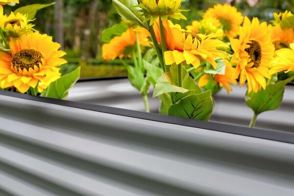 14887  3 3a1f0d9be32fa55f605e612dfdb7d874eb292eef