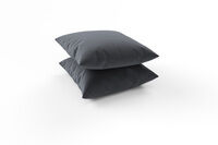 81004  bFrFsggmr bedb677bffa5164f39436816926735c7b78f4095